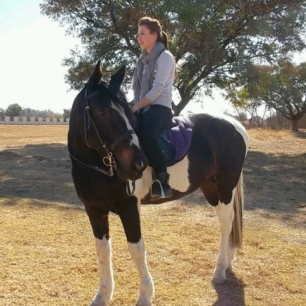 03696f79-9289-43e4-ae45-dc46b13a3c80-1