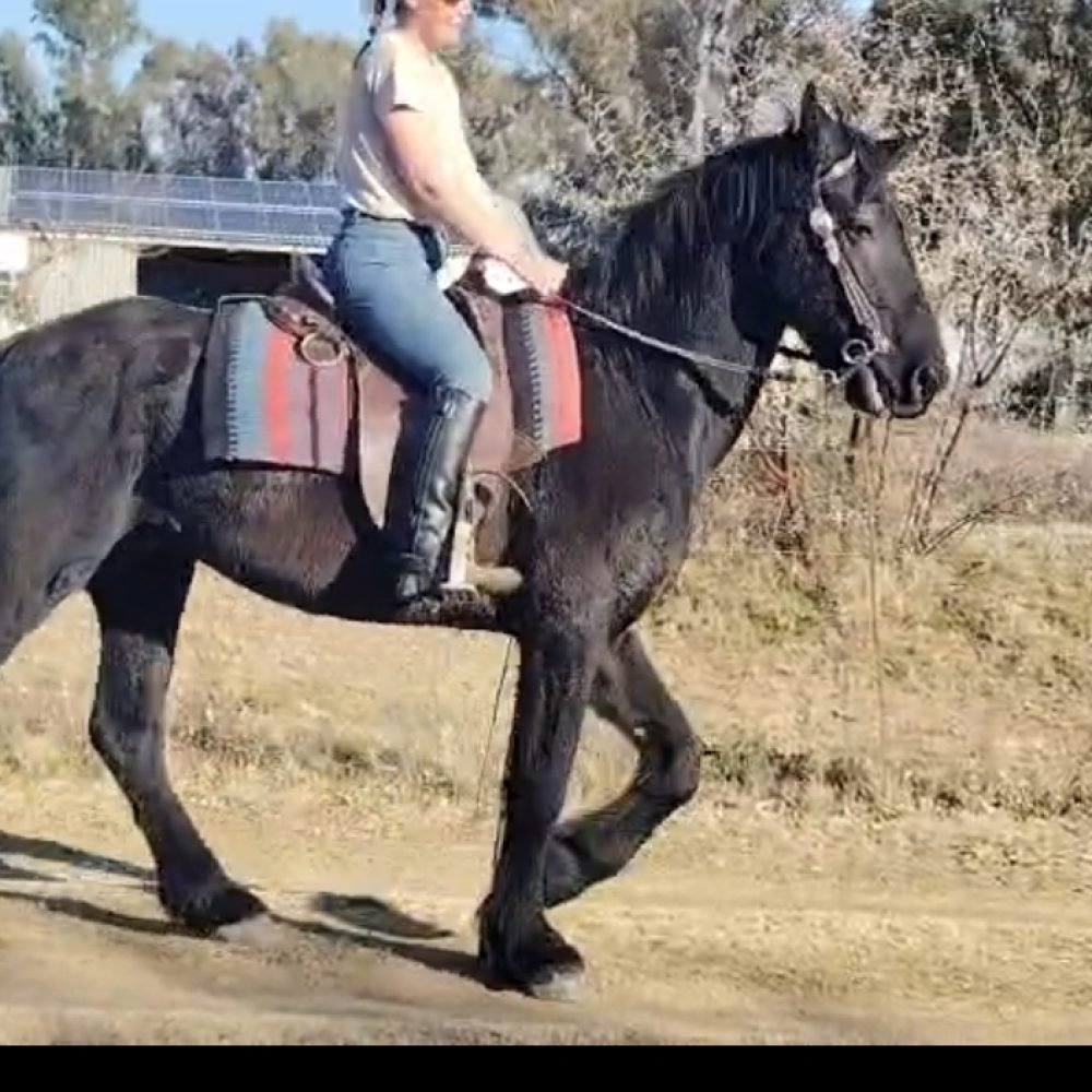 1001859109