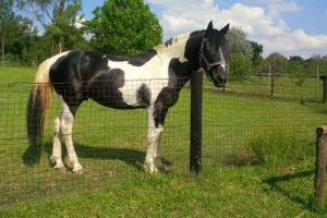 104e38a6-b4f2-4cf1-8cc8-0c79b9282937