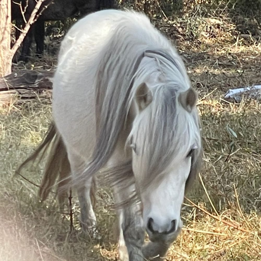 417ec535-47e1-499c-b6dc-7a6b5481e328