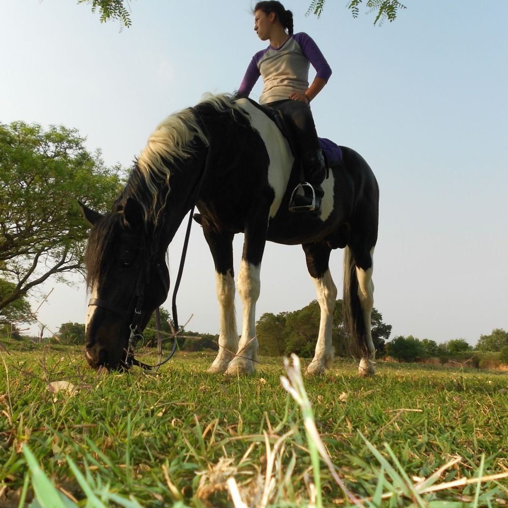 7299f146-2321-4266-99d8-834565ed47ef-1