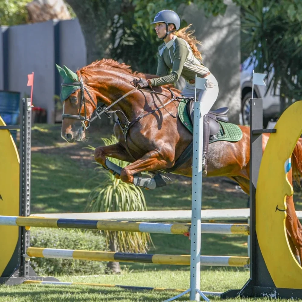 American Saddler_Abigail_PE4