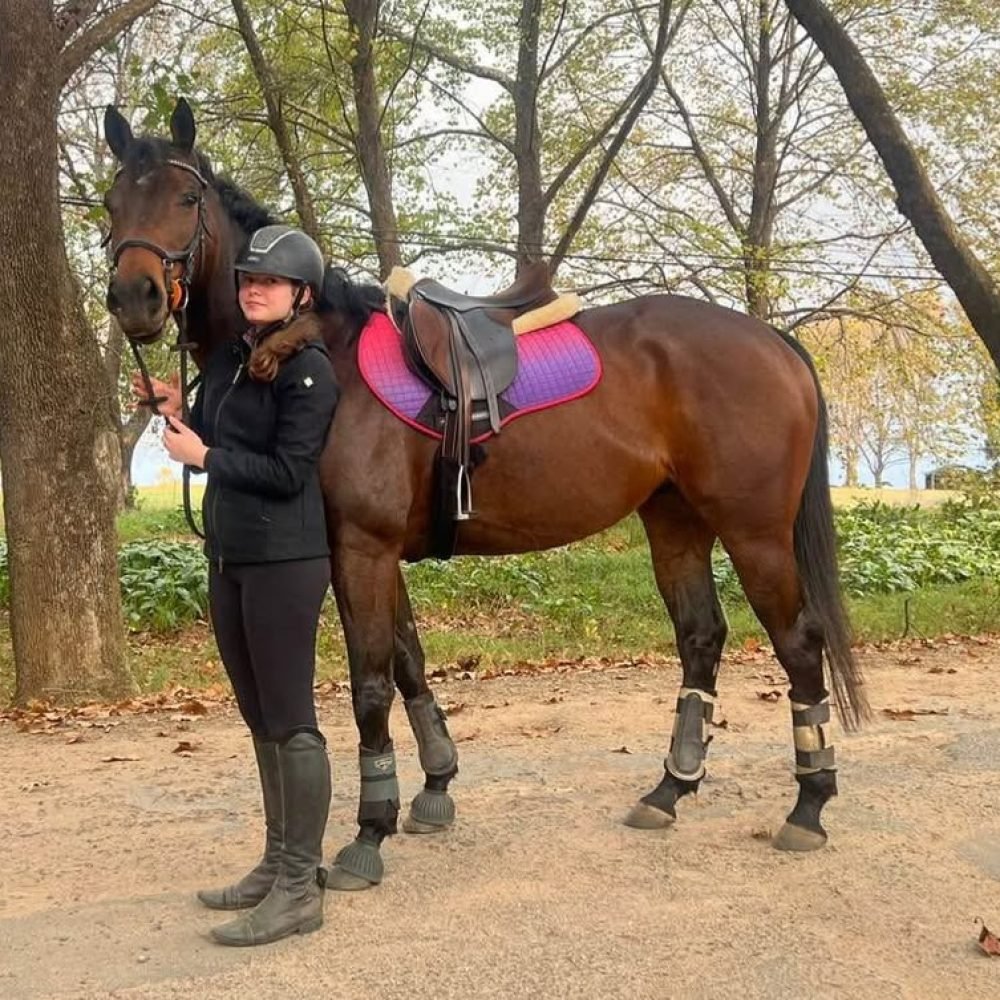 Kerry Ibbetson Lease Horse Summerveld1