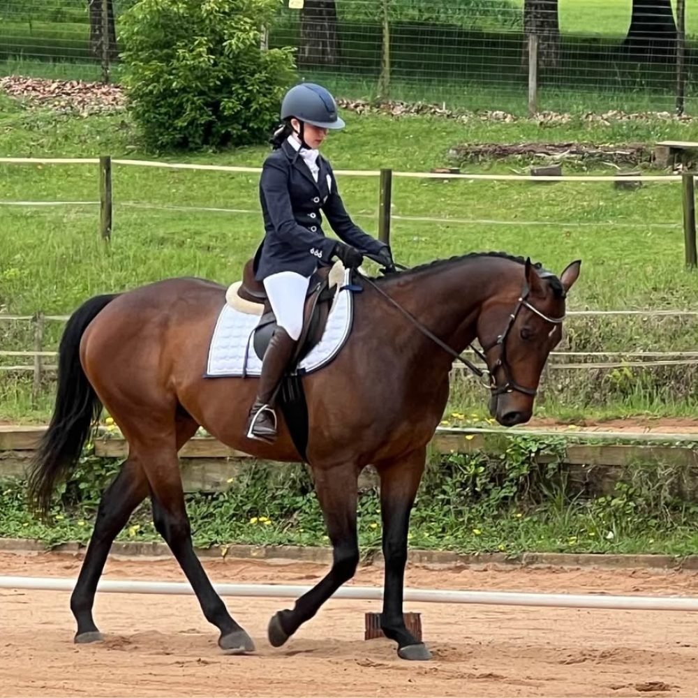 Kerry Ibbetson Lease Horse Summerveld4