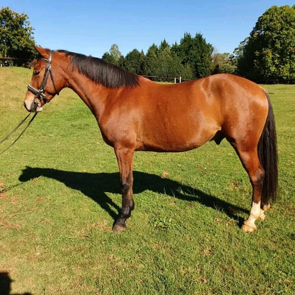 Nadia Bukus_Estcourt 1