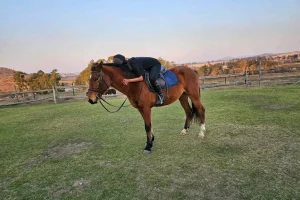 Nadia Bukus_Estcourt 2