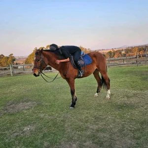 Nadia Bukus_Estcourt 2