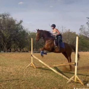 Nicolleen Erusmus_Chestnut TB1