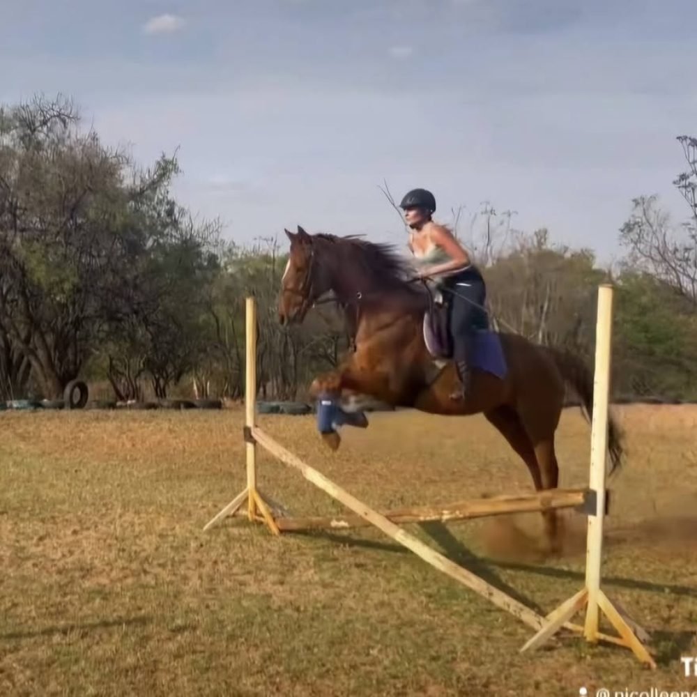 Nicolleen Erusmus_Chestnut TB1