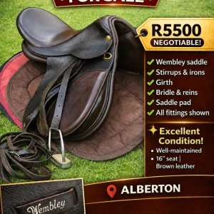 Wembly-Saddle