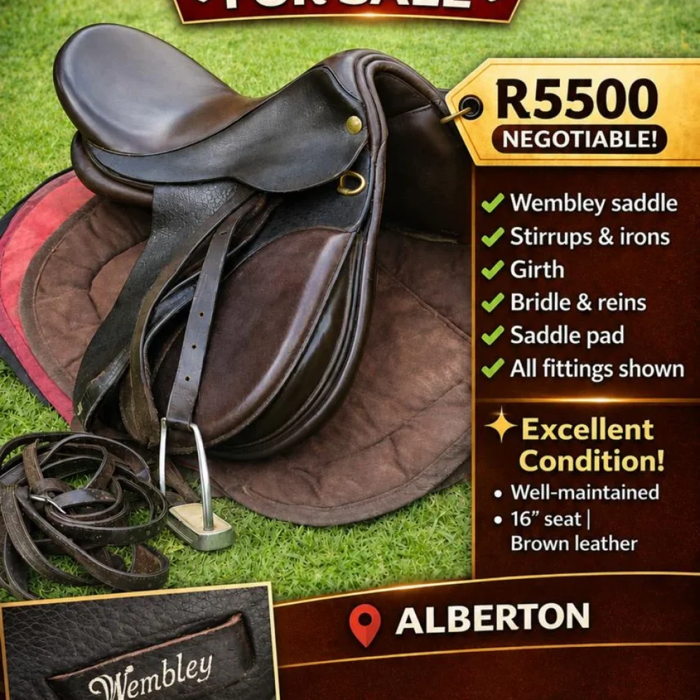 Wembly-Saddle