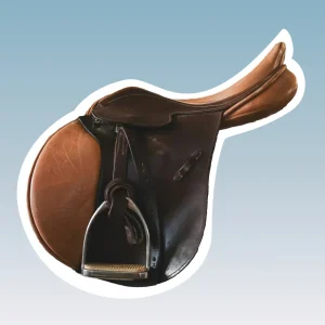 demo-saddle