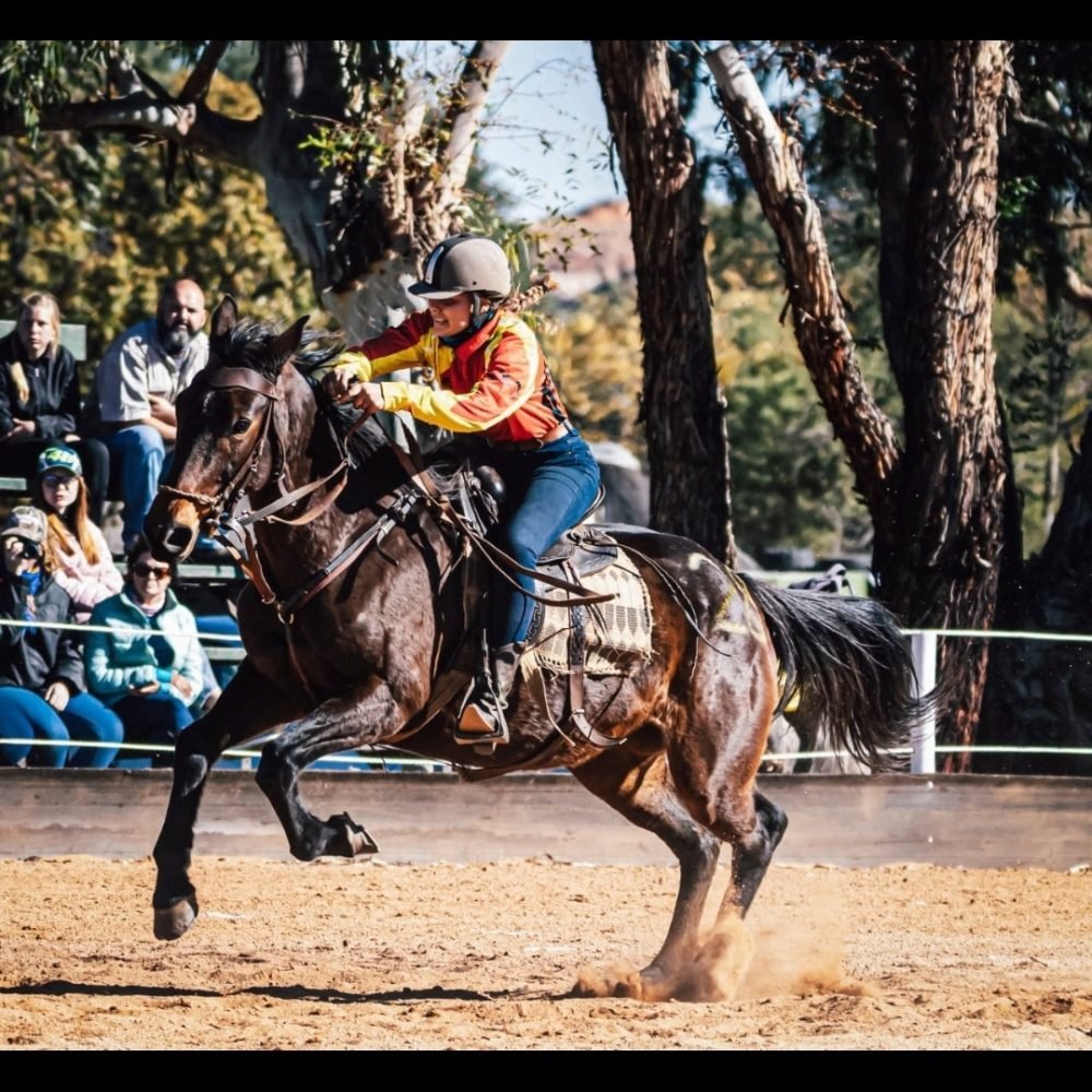 inbound5434631256736490614