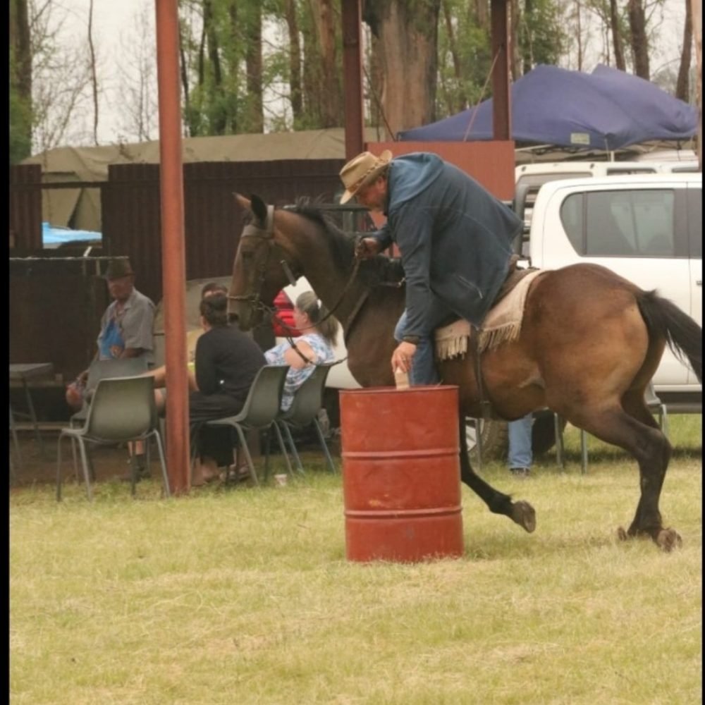 inbound6225955352780495152