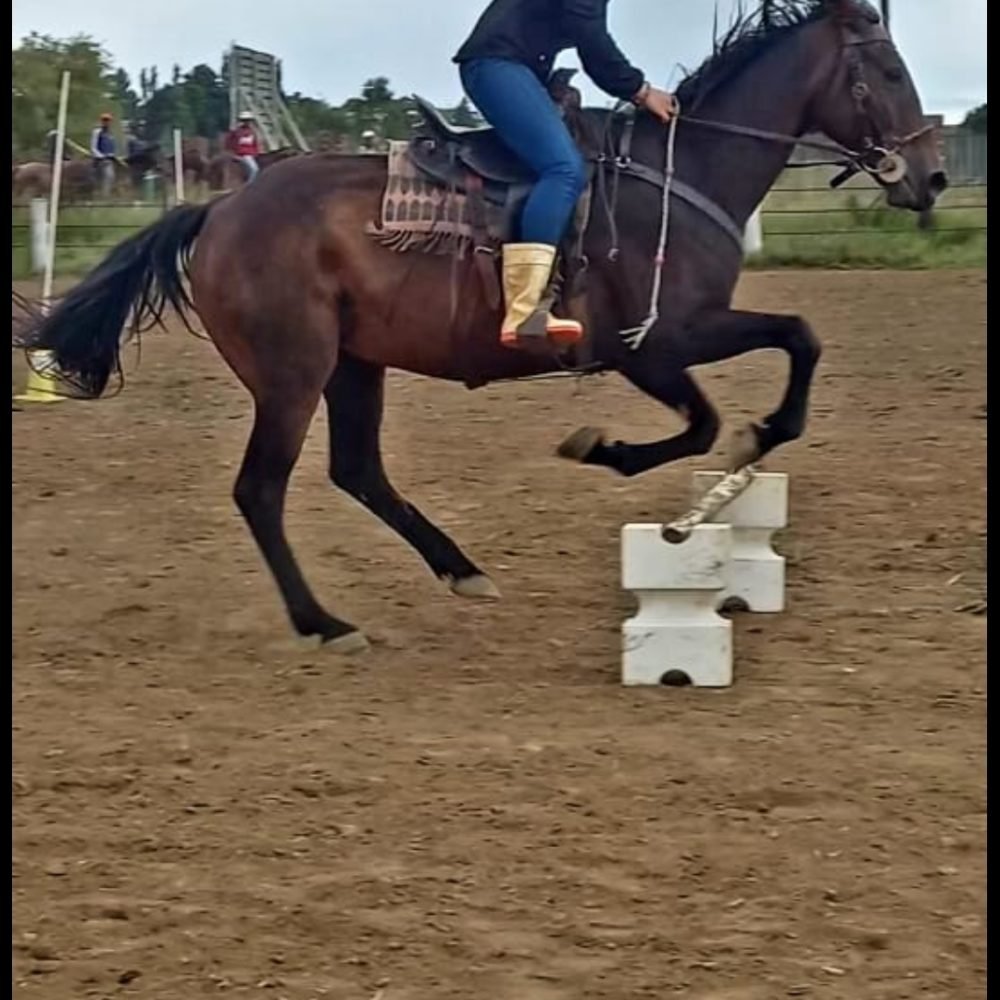 inbound6951486731983392783