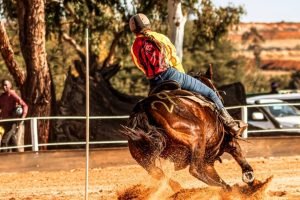 inbound760372698683332524