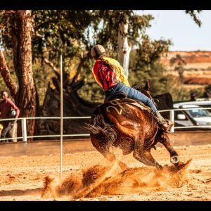 inbound760372698683332524